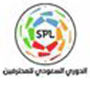 沙地联logo