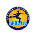 美青U17logo