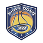 shandongnvlanlogo